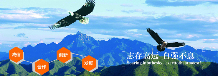 卓銳貨架公司簡介